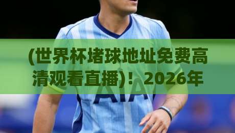 (世界杯堵球地址免费高清观看直播)!2026年球迷必收藏的四大观赛秘籍