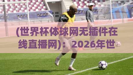 (世界杯体球网无插件在线直播网):2026年世界杯观赛首选,为什么千万球迷都在用它?