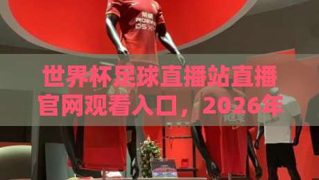 世界杯足球直播站直播官网观看入口,2026年最全观赛攻略在这儿呢